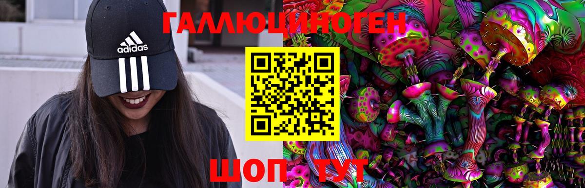 Назарово  Галлюциногенные грибы Psilocybe  Вход с VPN  Псилоцибиновые грибы мухоморы 