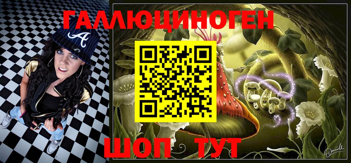 Галлюциногенные грибы Psilocybine cubensis Назарово